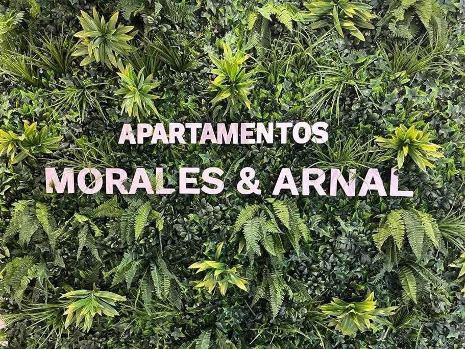 XVIII B Suite Apartamentos Morales & Arnal Ronda Exterior foto